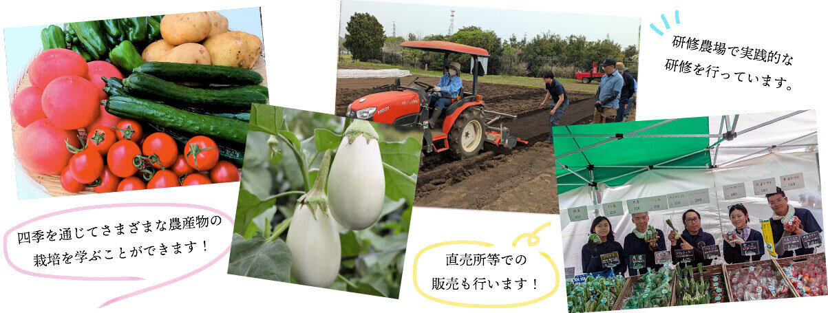 研修生募集
