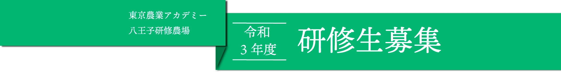 研修生募集