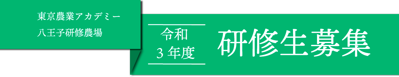 研修生募集